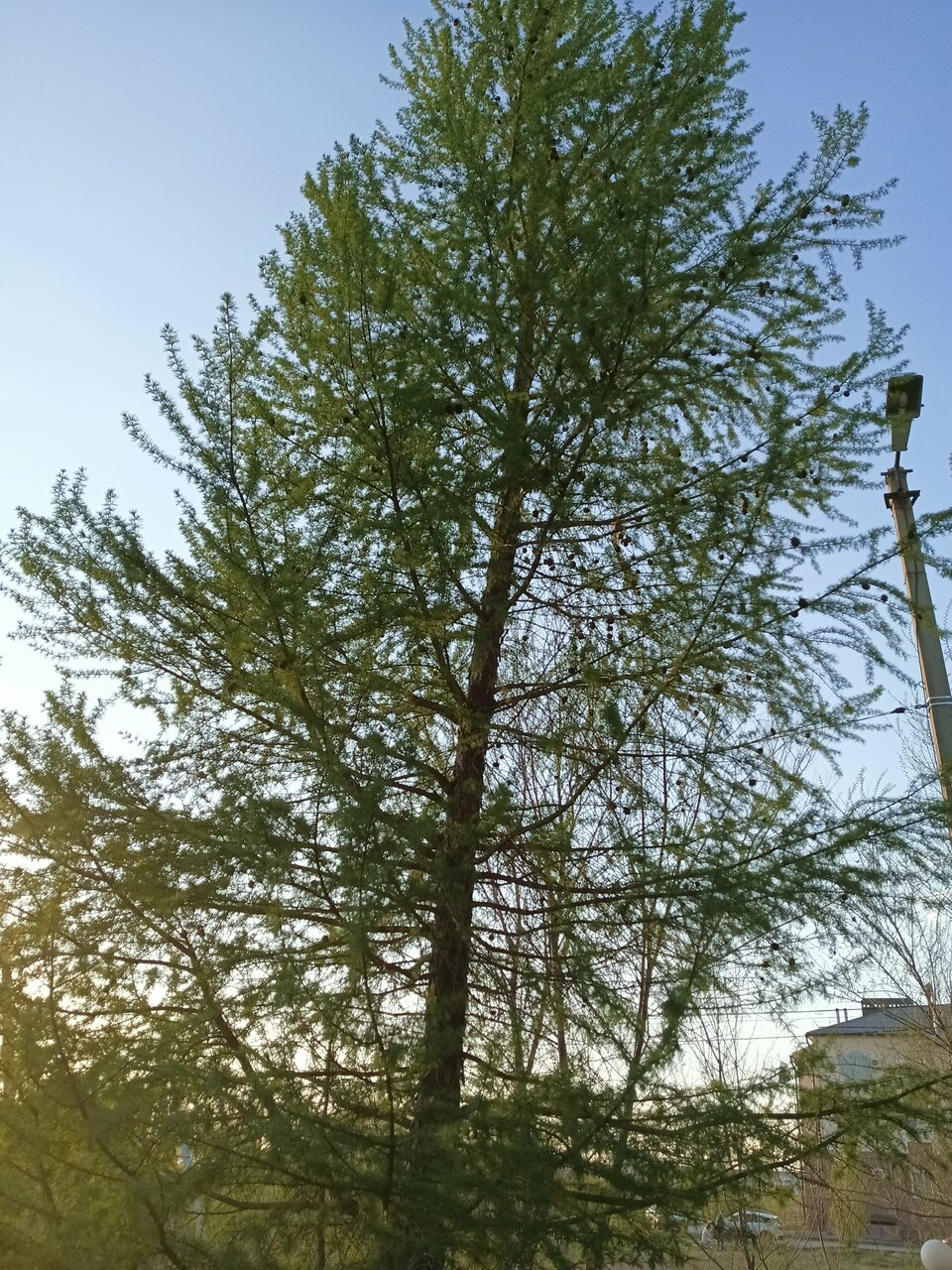 Гостиница Дружба Бузулук-173