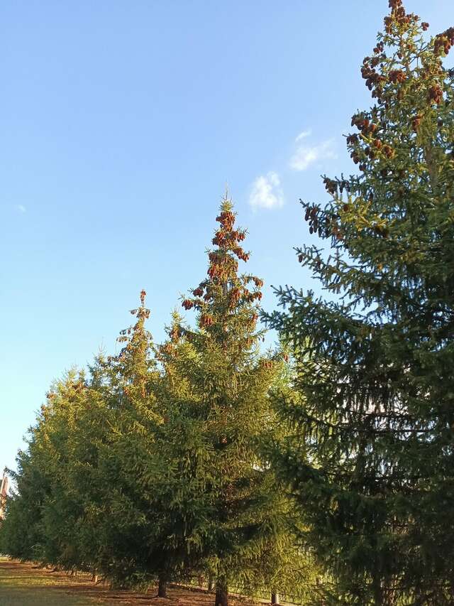 Гостиница Дружба Бузулук-178