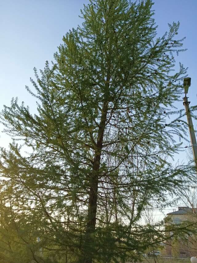 Гостиница Дружба Бузулук-172